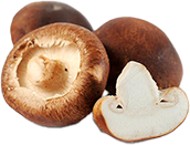 Shiitake Mushroom - Heart Health